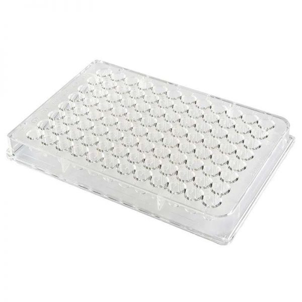 Placa Cultivo celular 96 pocillos