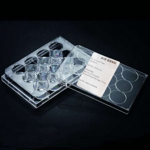 Placa cultivo celular 12 pocillos